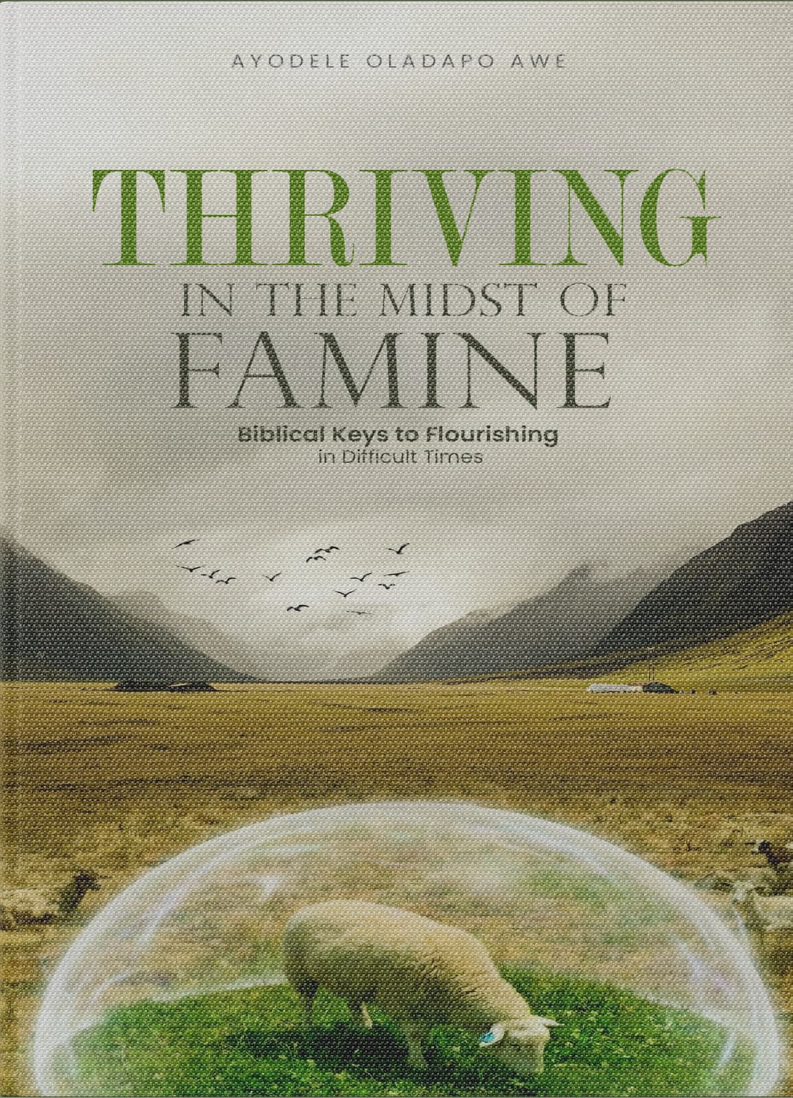 Cover of Thriving in the Midst of Famine: Biblical Keys to Flourishing in Difficult Times by Ayodele Oladapo Awe